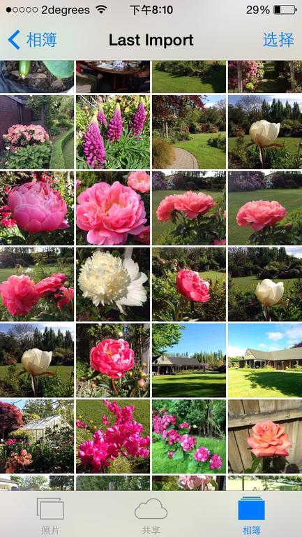 Rhododendron Garden Hotel Christchurch Buitenkant foto