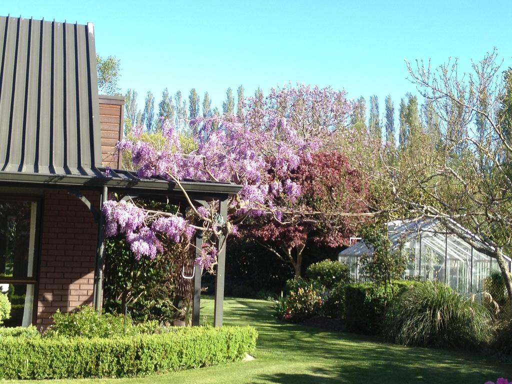 Rhododendron Garden Hotel Christchurch Kamer foto