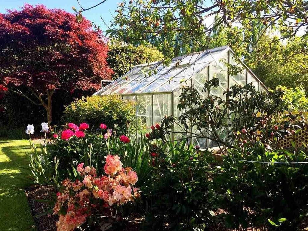 Rhododendron Garden Hotel Christchurch Kamer foto