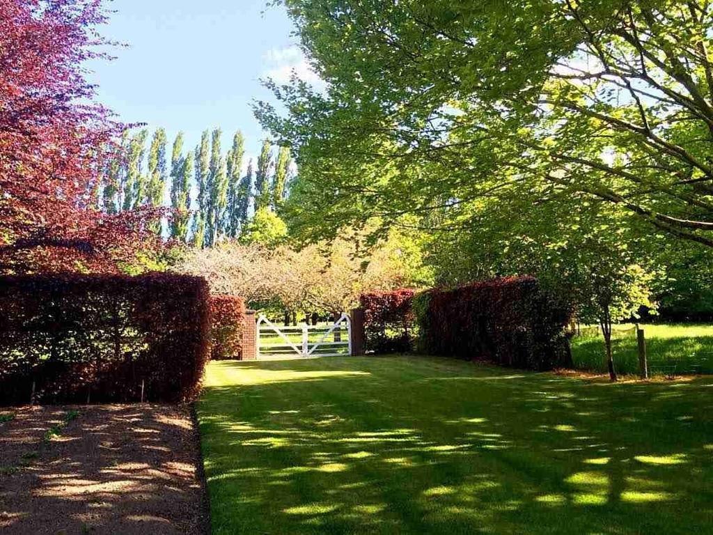 Rhododendron Garden Hotel Christchurch Kamer foto